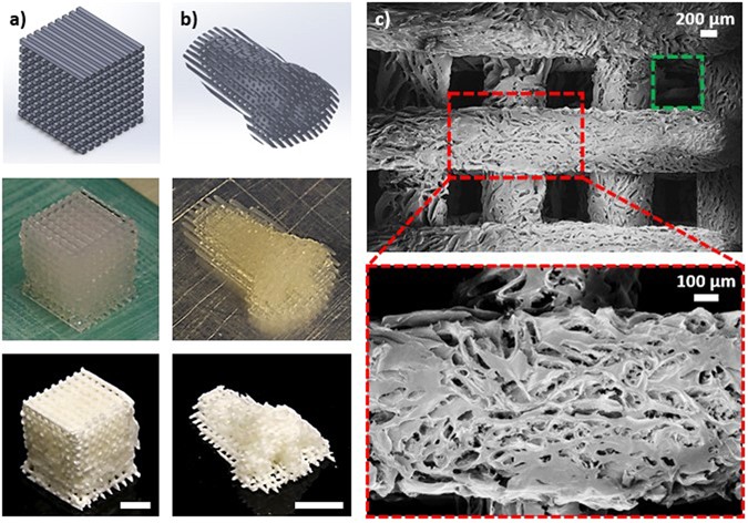 Direct Ink Write (DIW) 3D Printed Cellulose Nanocrystal Aerogel Structures  | Scientific Reports
