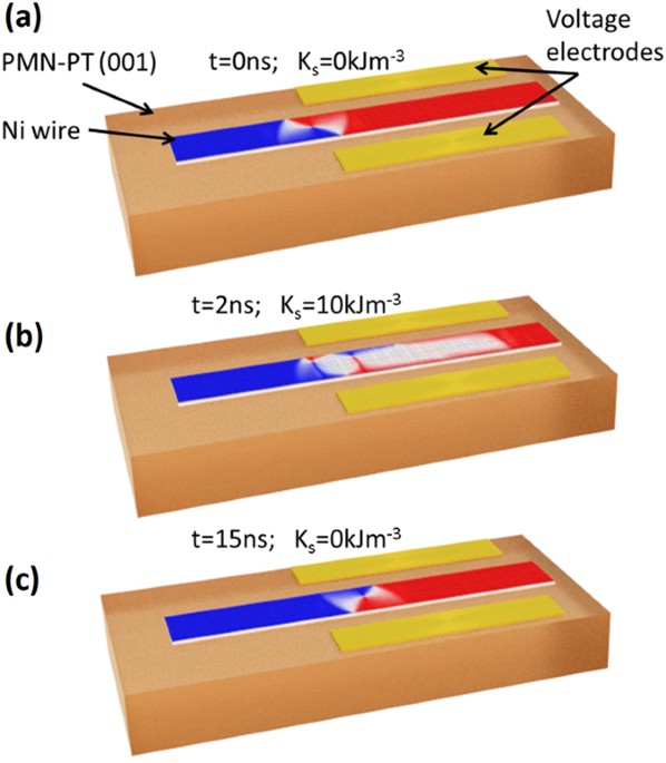 Deterministic control of vortex wall chirality by electric