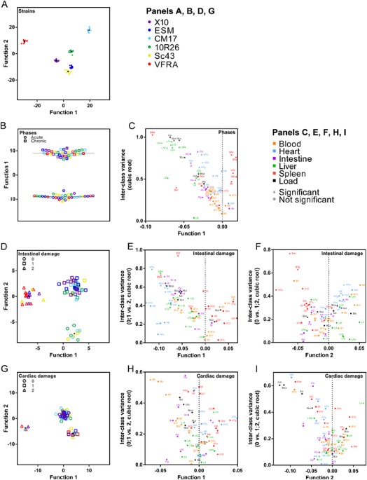 A multi-parametric analysis of Trypanosoma cruzi infection: common ...