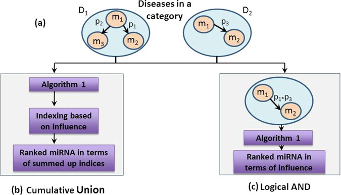 Determining causal miRNAs and their signaling cascade in diseases using ...