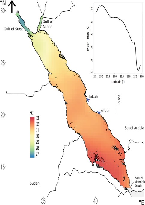 Decadal in Red Sea surface temperature | Scientific
