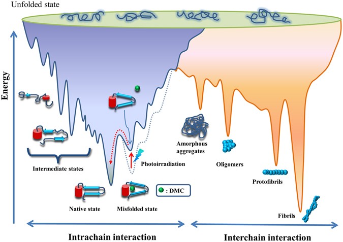 Room Temperature Helix To Coil Phase Change Room Temperature Helix To Coil Phase Change