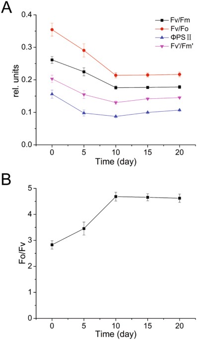 Nitrogen Starvation Impacts The Photosynthetic Performance Of Porphyridium Cruentum As Revealed By Chlorophyll A Fluorescence Scientific Reports