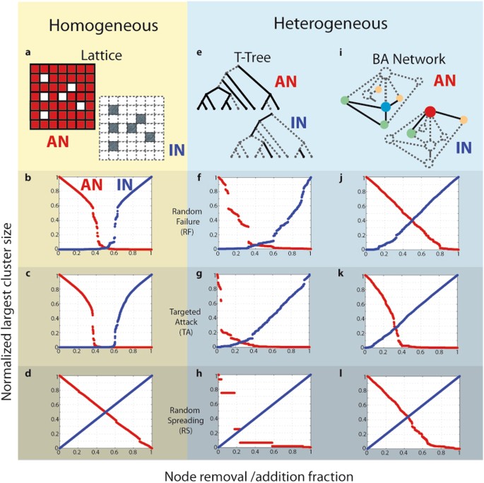 Network robustness assessed within a dual connectivity framework joint