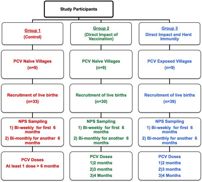 Rapid Replacement By Non Vaccine Pneumococcal Serotypes May Mitigate The Impact Of The Pneumococcal Conjugate Vaccine On Nasopharyngeal Bacterial Ecology Scientific Reports