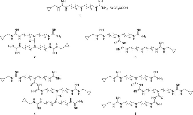 Identification Synthesis And Biological Activity Of Alkyl Guanidine Oligomers As Potent Antibacterial Agents Scientific Reports Identification Synthesis And Biological Activity Of Alkyl Guanidine Oligomers As Potent Antibacterial Agents Scientific Reports