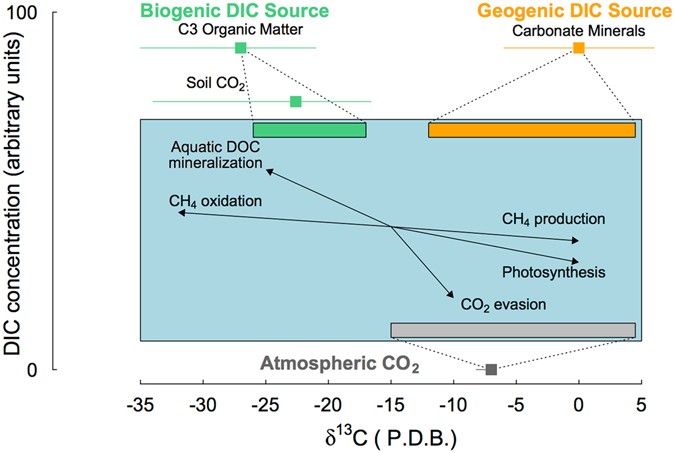 Multiple sources and sinks of dissolved inorganic carbon across swedish streams, refocusing the lens of stable c isotopes
