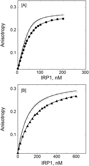 iron response element