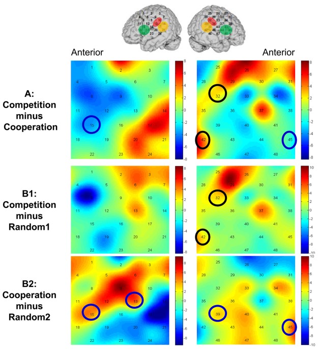 Interbrain network underlying turnbased cooperation and competition