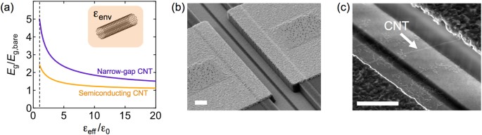 Giant Modulation Of The Electronic Band Gap Of Carbon Nanotubes By Dielectric Screening Scientific Reports
