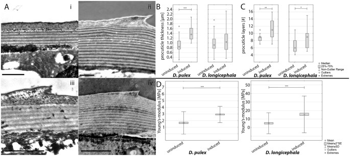 Biomechanical Properties Of Predator Induced Body Armour In The
