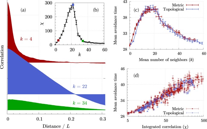 Effect of correlations in swarms on collective response
