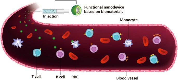 In Vitro Blood Cell Viability Profiling Of Polymers Used In