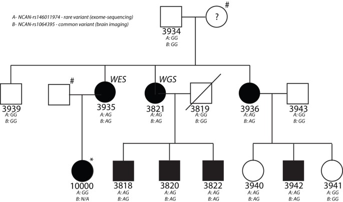 Identification Of Ncan As A Candidate Gene For Developmental Dyslexia Scientific Reports