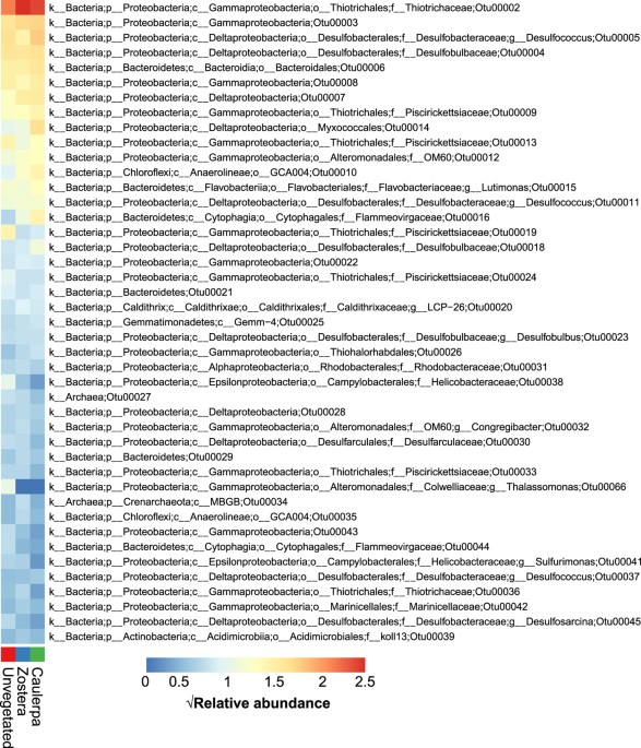 Microbial Communities In Marine Sediments Modify Success Of An Invasive Macrophyte Scientific Reports