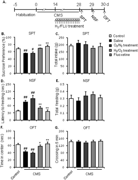 Marine Study Examines Stress Brain >> Molecular Hydrogen Increases Resilience To Stress In Mice Marine Study Examines Stress Brain >> Molecular Hydrogen Increases Resilience To Stress In Mice