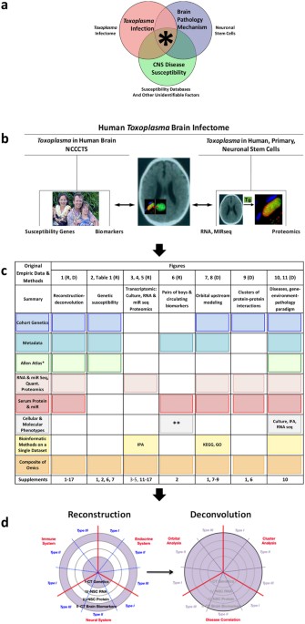 Human parasite identification chart