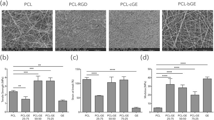 Biocomposite Nanofiber Matrices To Support Ecm Remodeling By Human Dermal Progenitors And Enhanced Wound Closure Scientific Reports