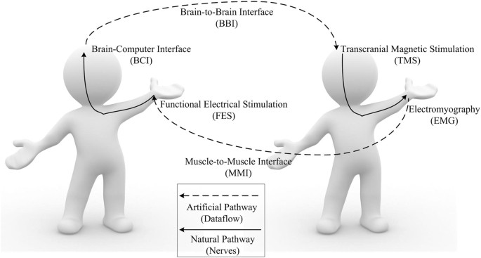 Muscle Control Basics