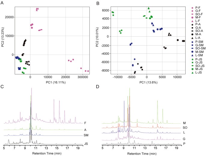 Characterization and Metabolic Diversity of Flavonoids in Citrus Species