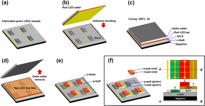 Monolithic integration of AlGaInP-based red and InGaN-based green LEDs via  adhesive bonding for multicolor emission | Scientific Reports