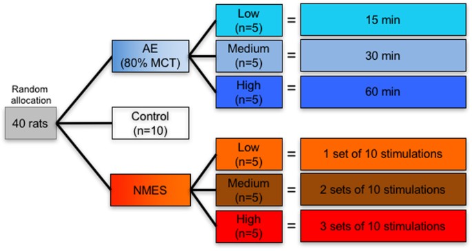 https://media.springernature.com/m685/springer-static/image/art%3A10.1038%2Fs41598-017-11260-7/MediaObjects/41598_2017_11260_Fig1_HTML.jpg