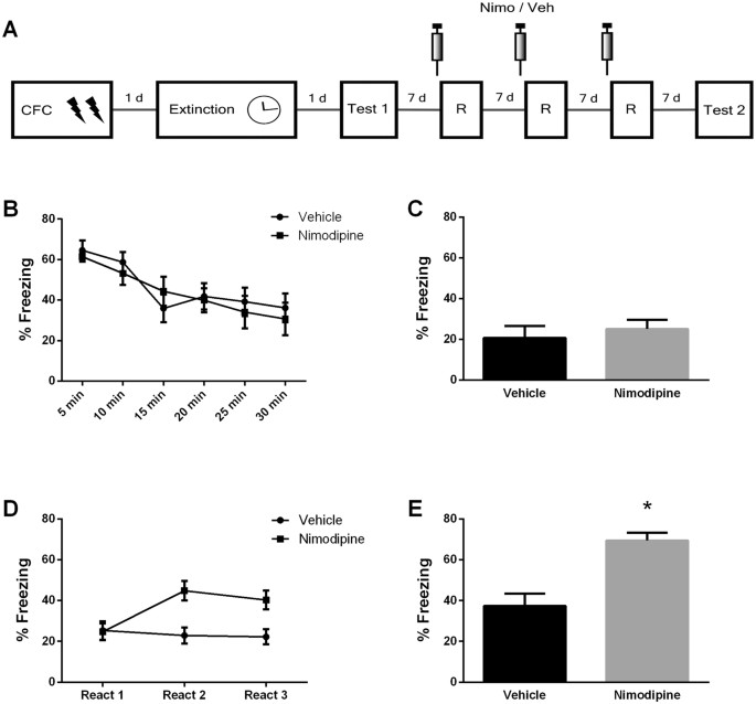 Enhancement of extinction memory by pharmacological and behavioral ...