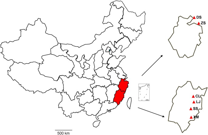 Virome Ysis For Identification Of Novel Mammalian Viruses In Map Showing The Location Of Bats Collected In This Study Labeled Red Zs Zhoushan Ds Daishan Cl Changle Lj Lianjiang Ss Shishi