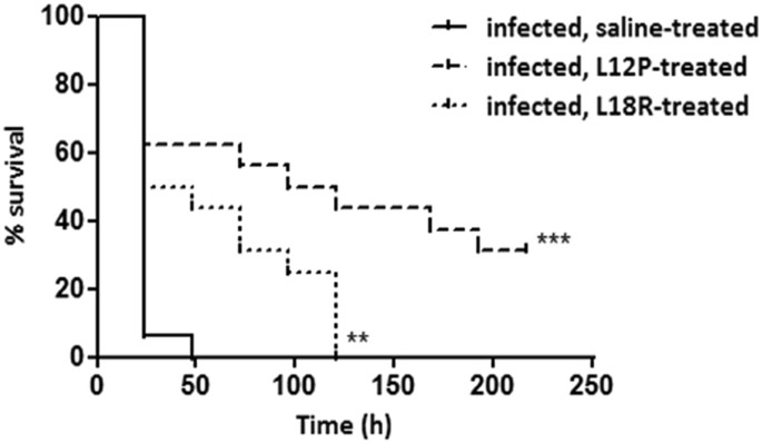 Fungicidal activity of peptides encoded by immunoglobulin genes