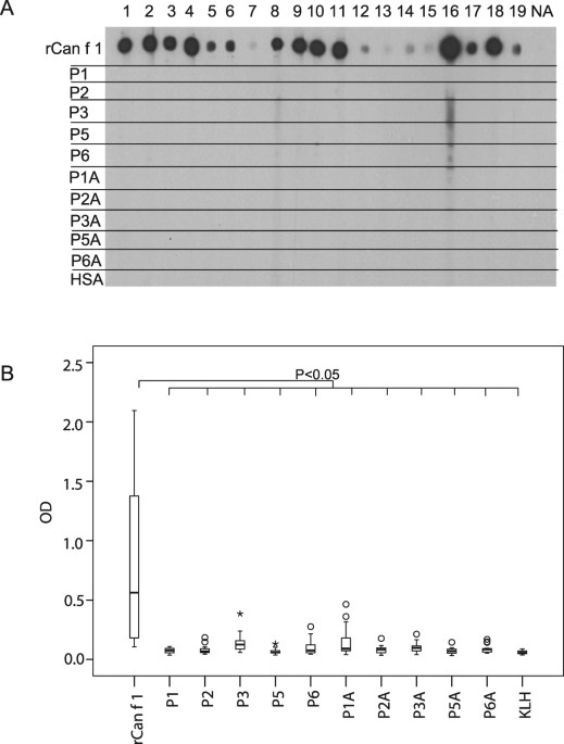 clustering of conformational ige epitopes on the major dog allergen figure 2