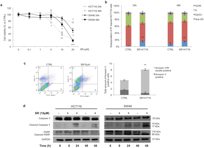 Inhibition of wnt/β-catenin pathway and histone acetyltransferase activity by rimonabant: a therapeutic target for colon cancer