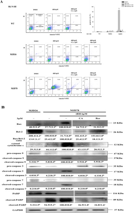 Wolfram Alpha Loses Madison Trial To >> Treatment With Caffeic Acid And Resveratrol Alleviates Oxidative Wolfram Alpha Loses Madison Trial To >> Treatment With Caffeic Acid And Resveratrol Alleviates Oxidative