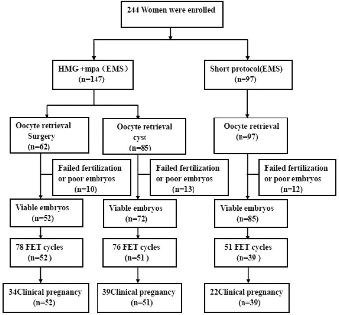 azithromycin and cefixime pediatric