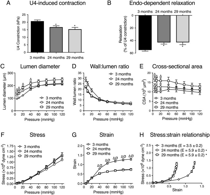 estrogenic vascular effects are diminished by chronological aging