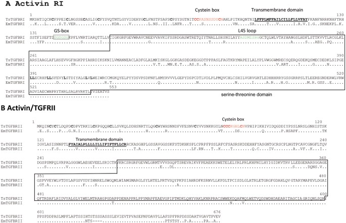 Effect Of Transforming Growth Factor B Upon Taenia Solium And Taenia Crassiceps Cysticerci Scientific Reports