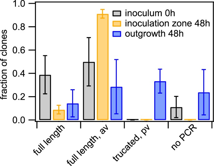 Phase and antigenic variation govern competition dynamics through