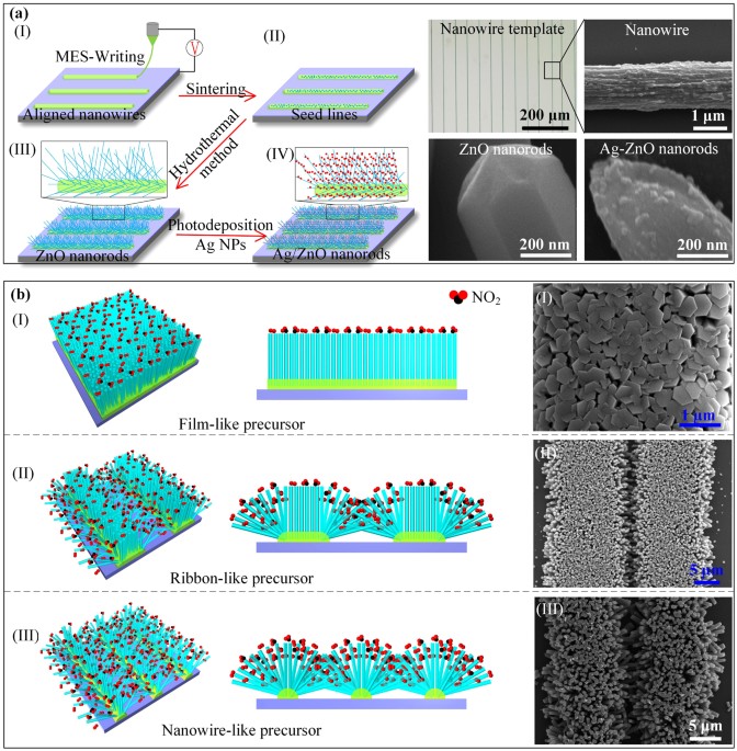 aligned hierarchical ag zno nano heterostructure arrays nature journal template