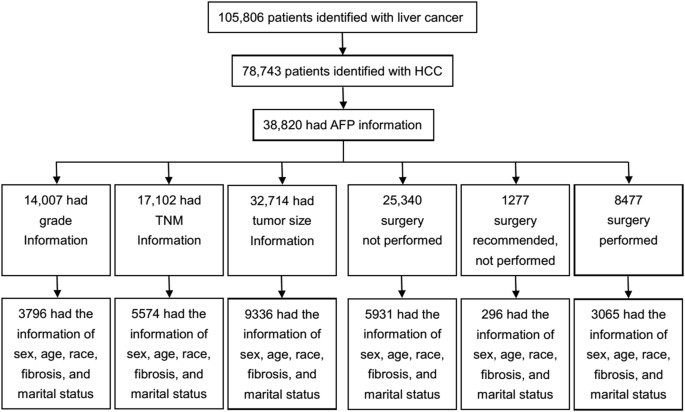 Afp Level Chart Liver Cancer