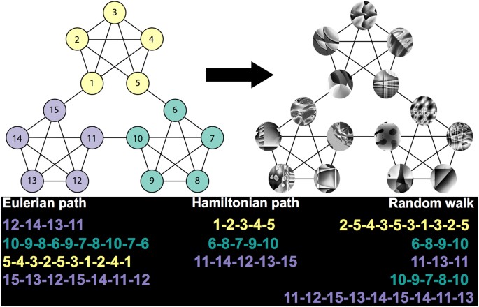 Process reveals structure: How a network is traversed mediates
