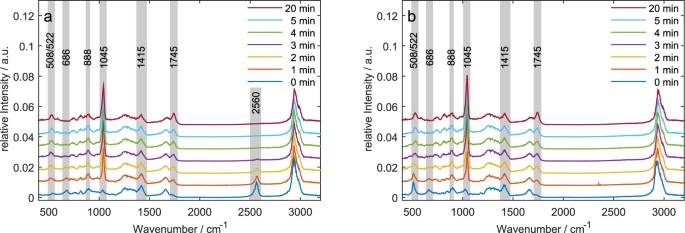 Elucidation of Plasma-induced Chemical Modifications on Glutathione and  Glutathione Disulphide
