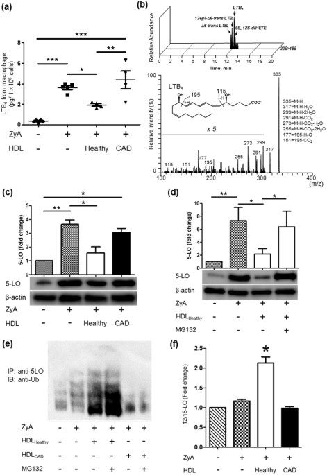 Novel Mechanism Of Regulation Of The 5 Lipoxygenase Leukotriene B 4 Pathway By High Density Lipoprotein In Macrophages Scientific Reports
