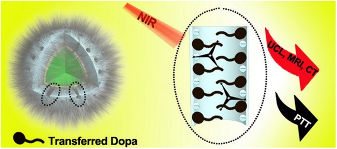 Dopamine Mediated Photothermal Theranostics Combined With Up Conversion Platform Under Near Infrared Light Scientific Reports