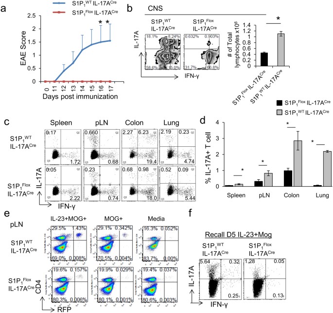 S1p1 deletion differentially affects th17 and regulatory t cells