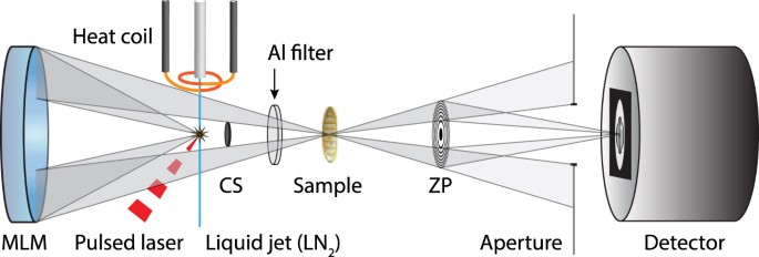 Laboratory Cryo X Ray Microscopy For 3d Cell Imaging Scientific Reports