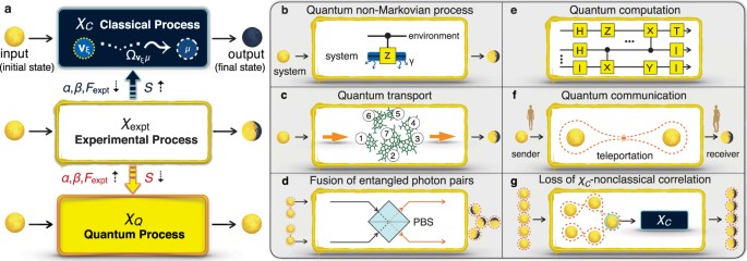 quantum 9 sg