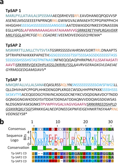 Characterization of a New Protein Family Associated With the