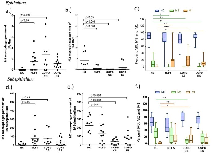 abnormal m1 m2 macrophage phenotype profiles in the small airway in epithelium an increase in the numbers of a m1 and a decrease in b m2 macrophages observed in smokers and copds compared to nc