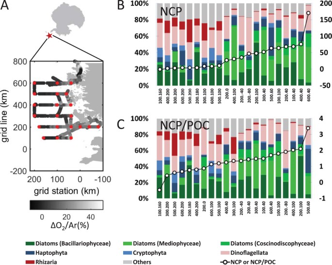 Specific Eukaryotic Plankton Are Good Predictors Of Net Community Production In The Western Antarctic Peninsula Scientific Reports