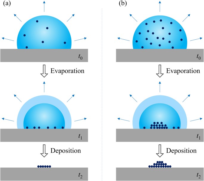 Evaporative deposition of polystyrene microparticles on PDMS 