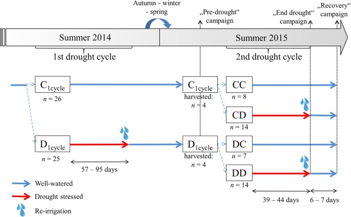 Double stress of waterlogging and drought drives forest–savanna